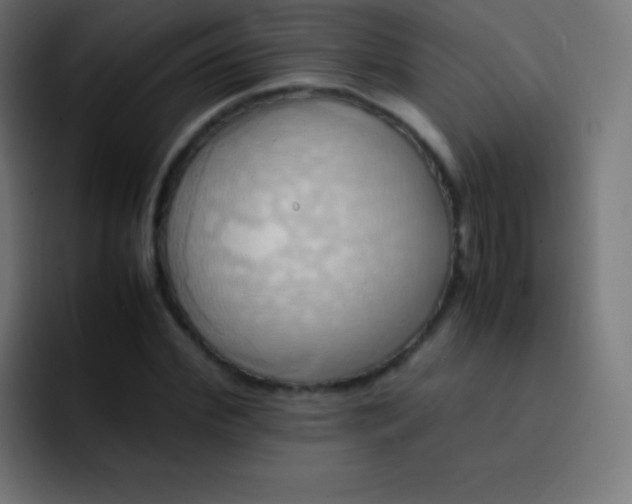 X0000093240972200710101419