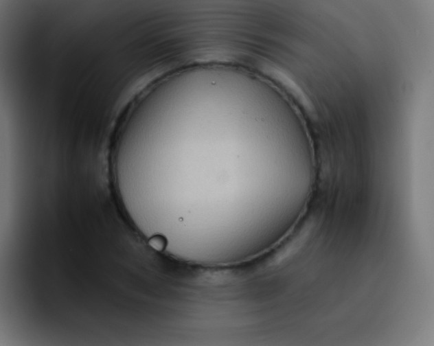 X0000093240978200710101419
