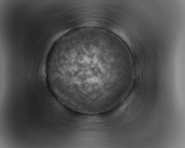 X0000093240979200710101419