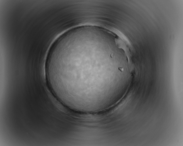 X0000093240980200710101419