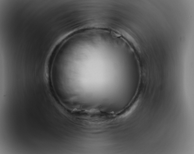 X0000093240981200710101419
