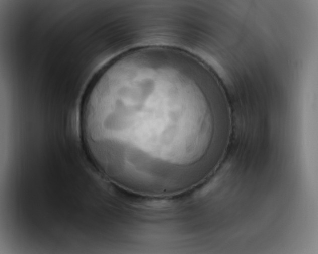 X0000093240982200710101419