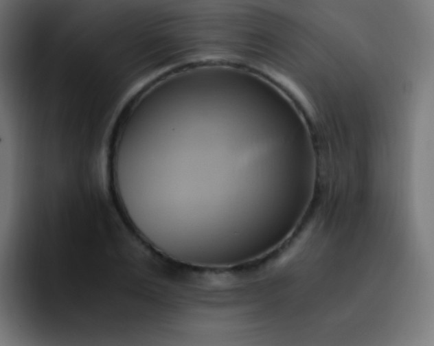 X0000093240983200710101419