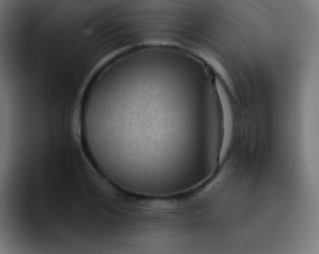 X0000093240984200710101419
