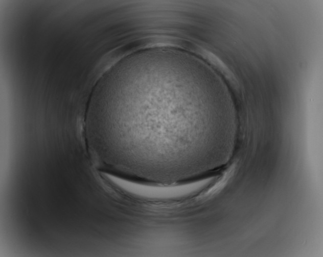 X0000093240985200710101419