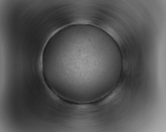 X0000093240988200710101418