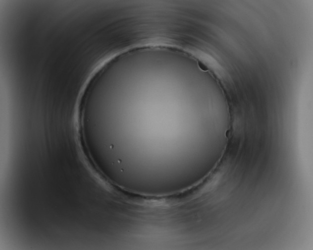 X0000093240990200710101418
