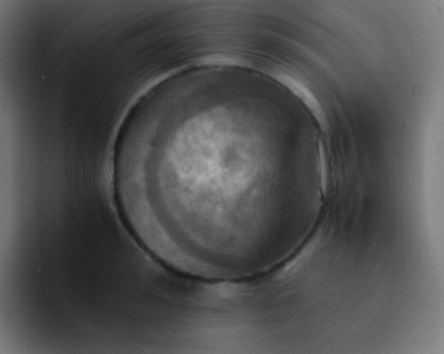X0000093240992200710101418