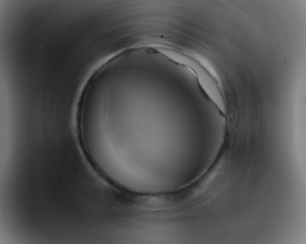 X0000093240995200710101418