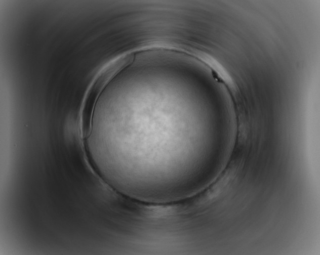 X0000093240996200710101418