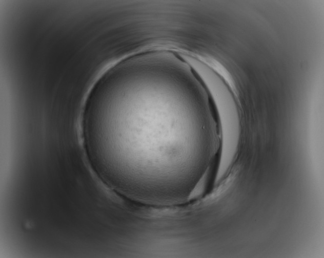 X0000093240997200710101418