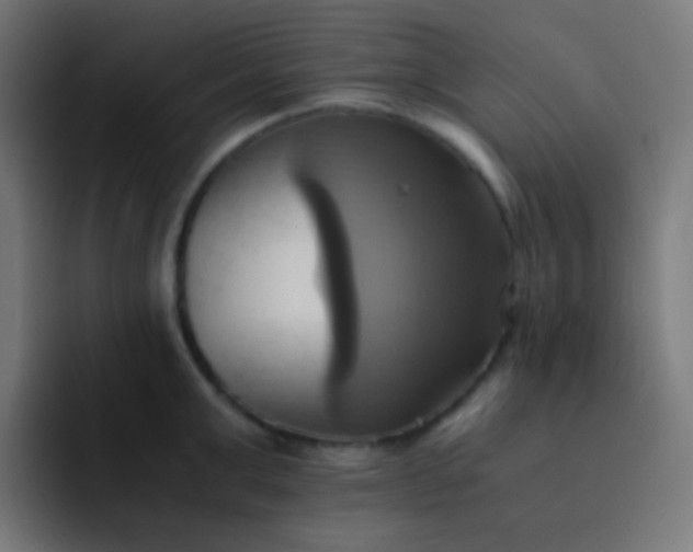 X0000093240999200710101418