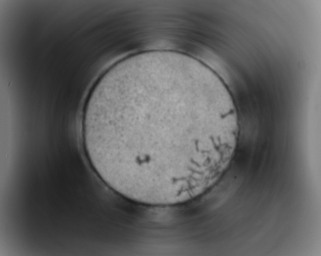 X0000093241000200710101418