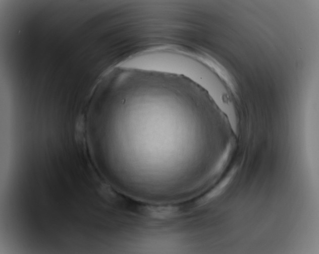 X0000093241001200710101418