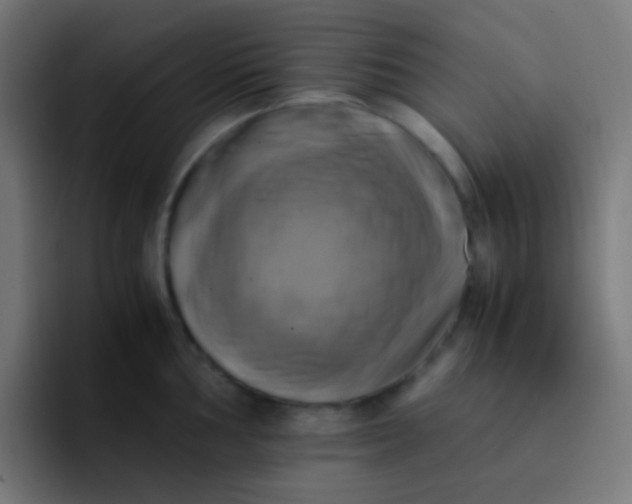 X0000093241002200710101418
