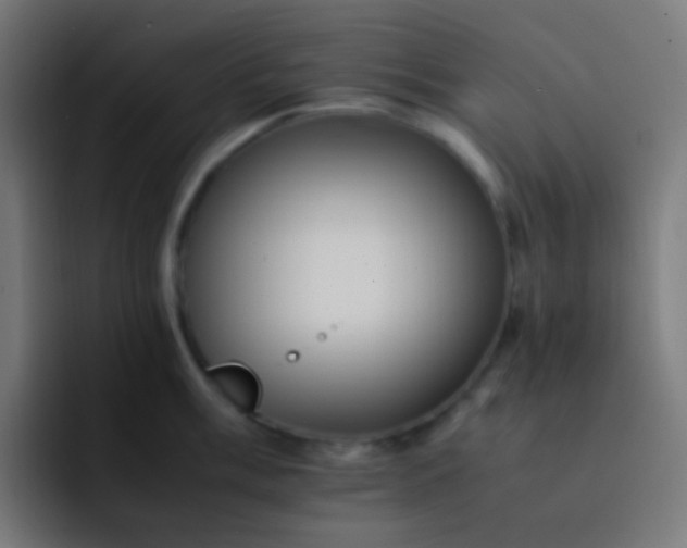 X0000093241003200710101418