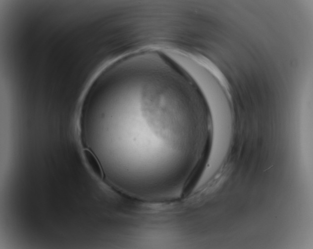 X0000093241005200710101418