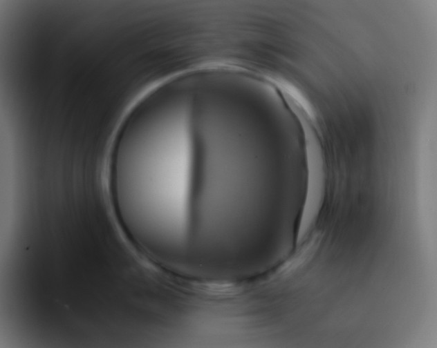 X0000093241007200710101418