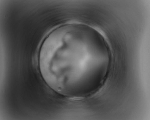 X0000093241008200710101418
