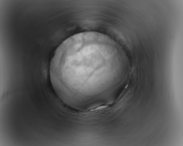 X0000093241012200710101418