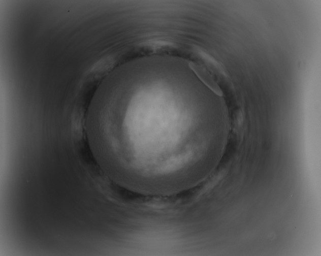 X0000093241014200710101418