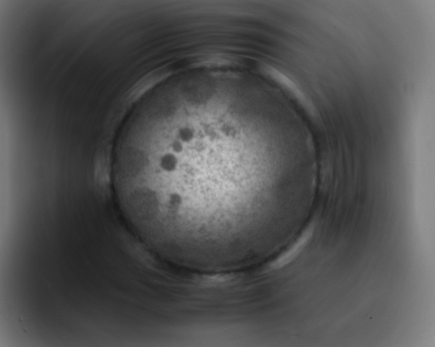 X0000093241017200710101418