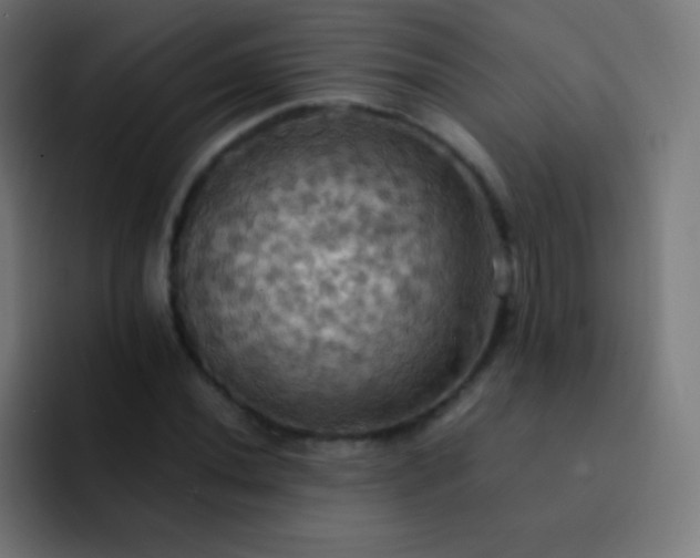 X0000093241020200710101418