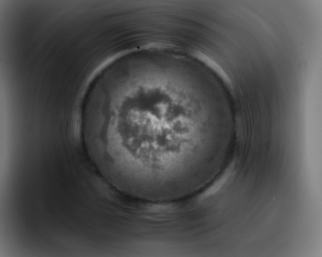 X0000093241021200710101418