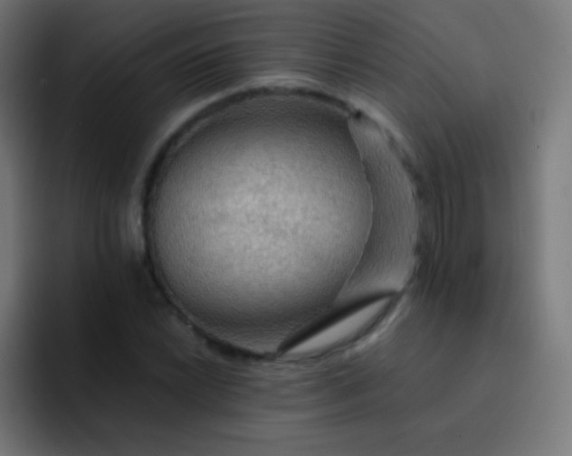 X0000093241022200710101418