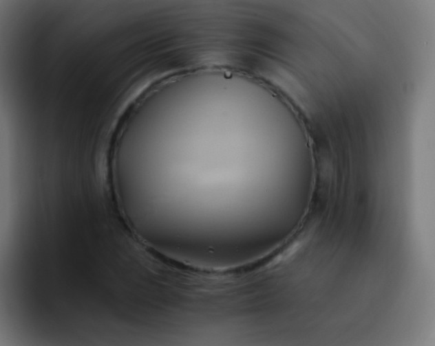 X0000093241023200710101418