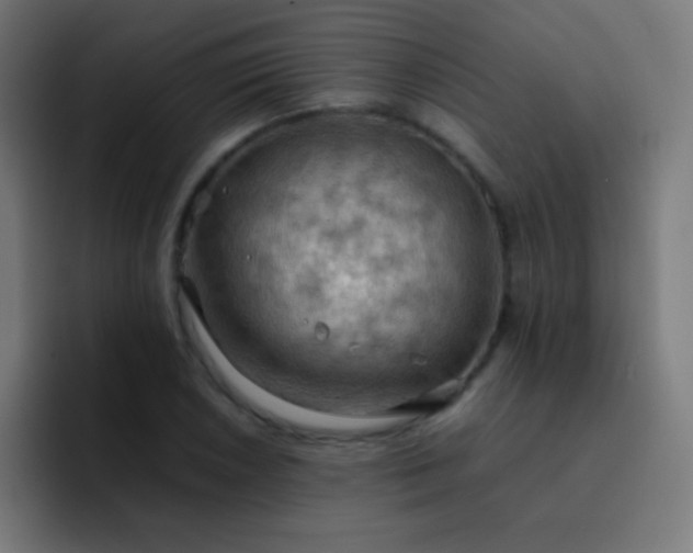 X0000093241026200710101418