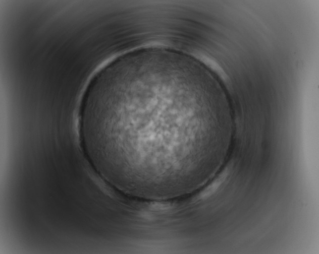 X0000093241029200710101418