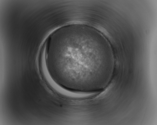 X0000093241030200710101418