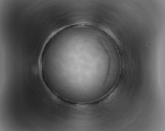 X0000093241032200710101418