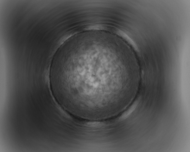 X0000093241033200710101418