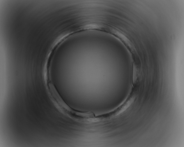 X0000093241034200710101418