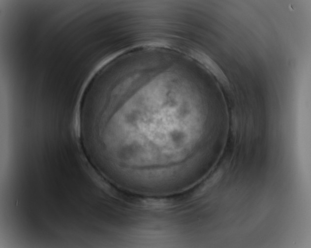 X0000093241036200710101418