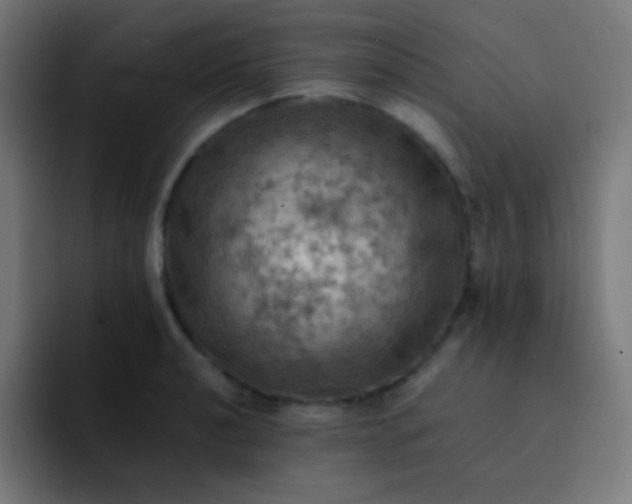 X0000093241040200710101418