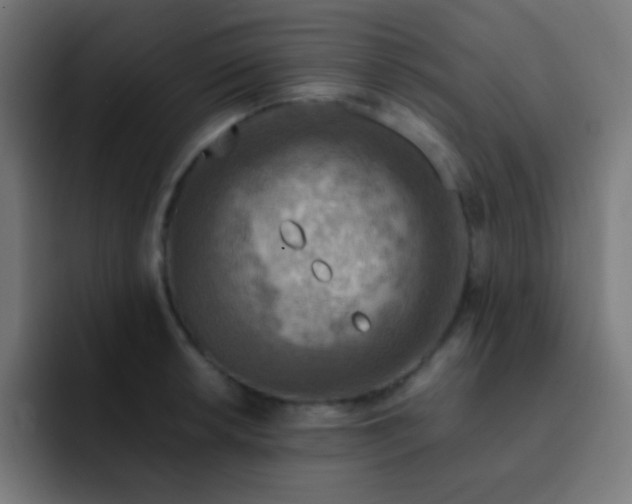X0000093241042200710101418