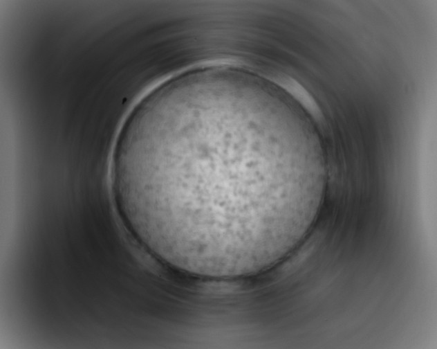 X0000093241044200710101418