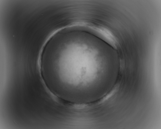 X0000093241046200710101418