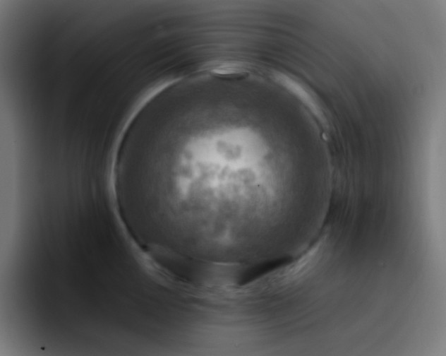 X0000093241050200710101418