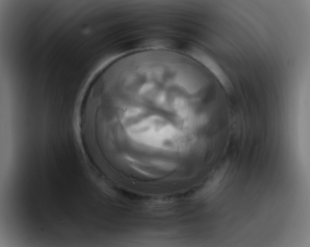 X0000093241051200710101418
