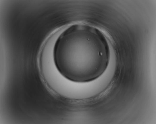 X0000093241054200710101418