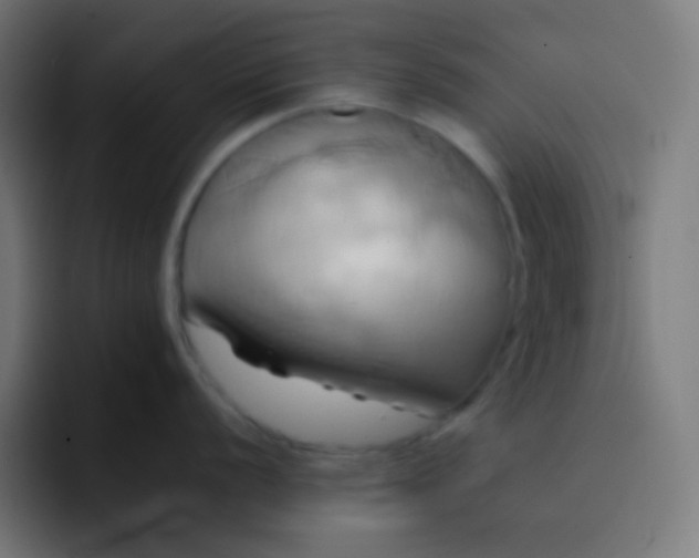 X0000093241056200710101418