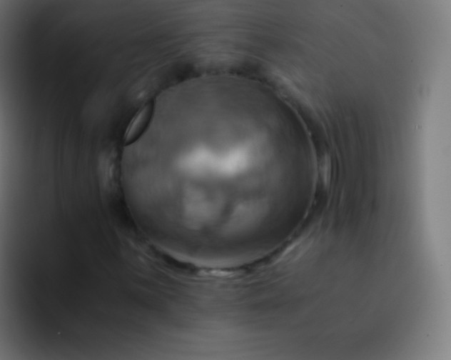 X0000093241059200710101418