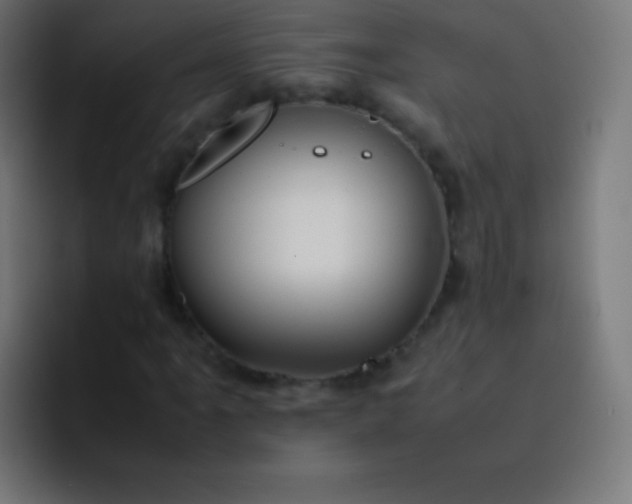 X0000093241061200710101418