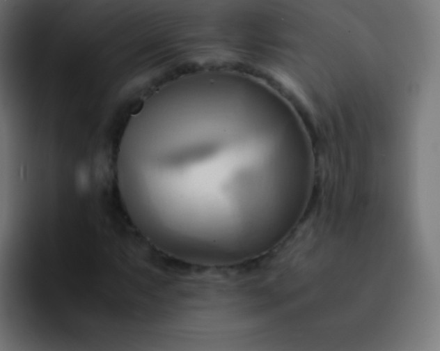 X0000093241063200710101418