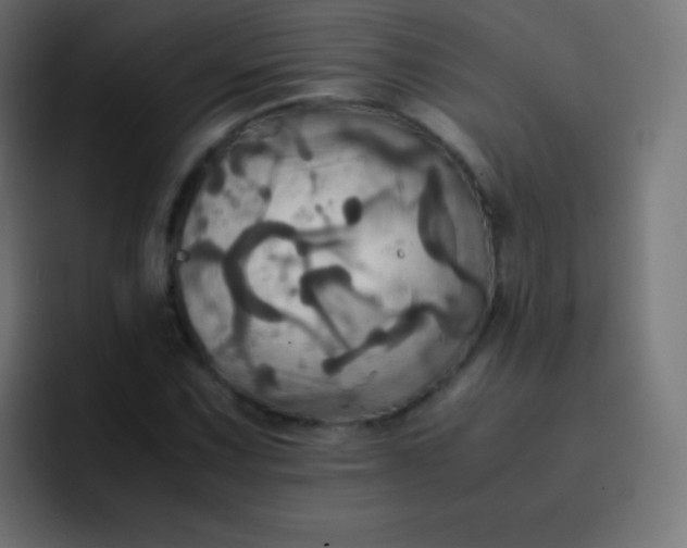 X0000093241067200710101418