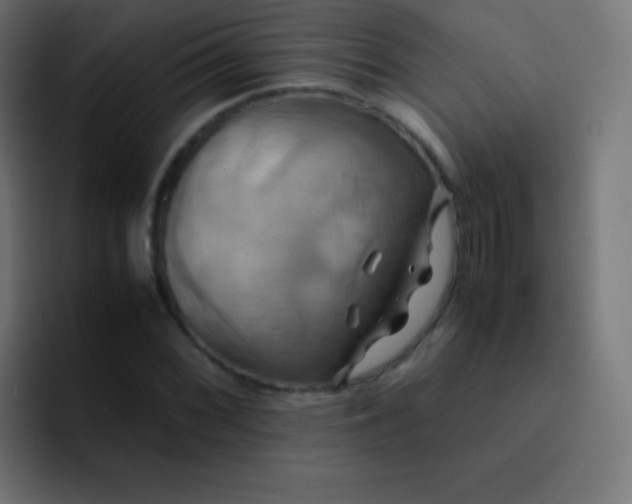 X0000093241068200710101418
